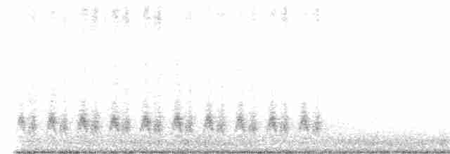 Кактусовый крапивник - ML522697471