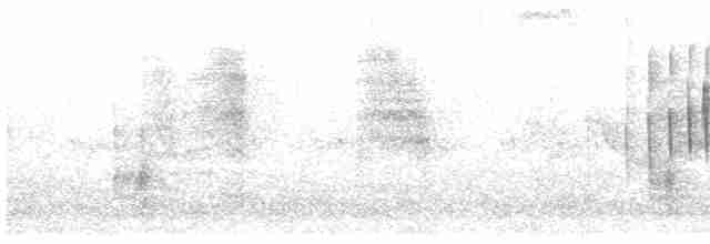 Kısa Gagalı Sepetören - ML522734121