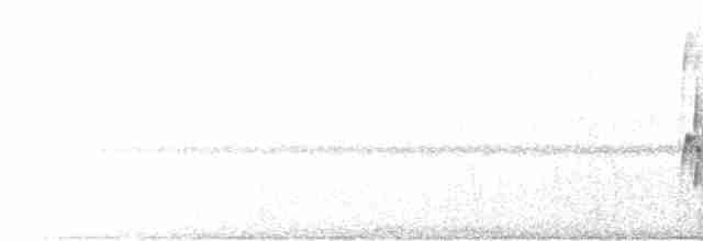 rustbrystløvvender (scansor) - ML522743551