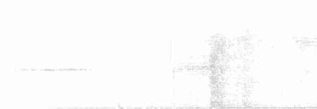 Полосатохвостый трогон - ML522819401