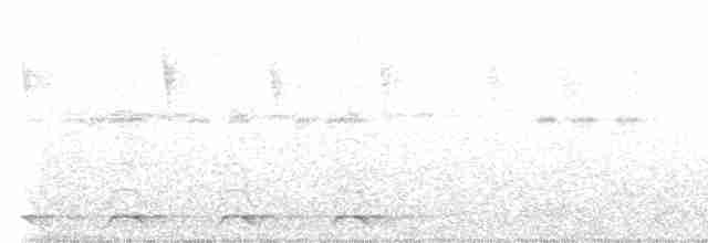 Lacivert Kuyruklu Trogon - ML522848061