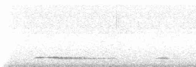 Сичик-горобець болівійський - ML522857031