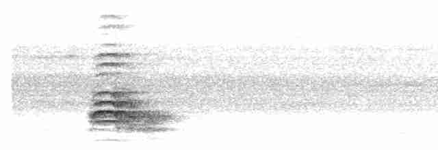 Борнейский павлиний фазан - ML522860241