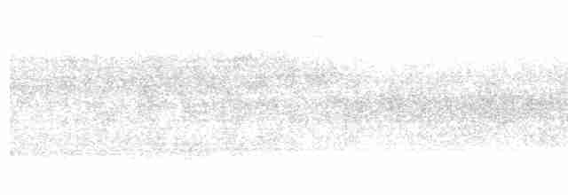 Борнейский павлиний фазан - ML522860251