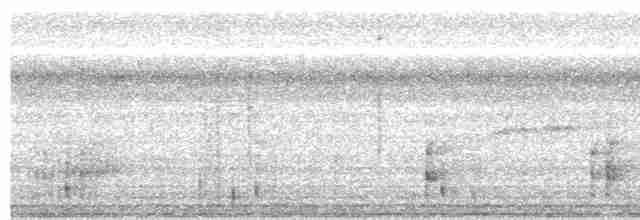 Борнейский павлиний фазан - ML522860261