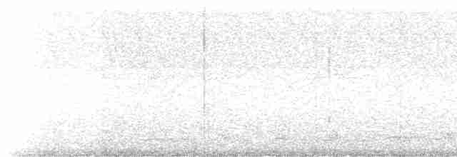 Leierschwanz-Nachtschwalbe - ML522860891