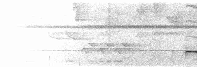 Graubrust-Ameisendrossel - ML522921261