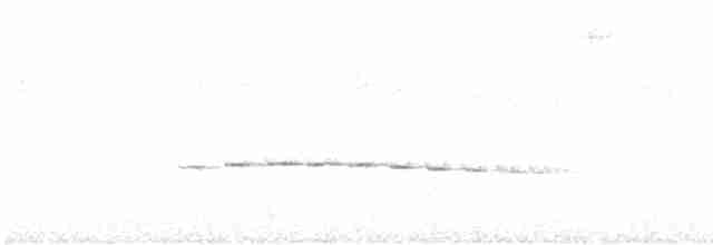 ハイボウシヒメジアリドリ - ML522939001