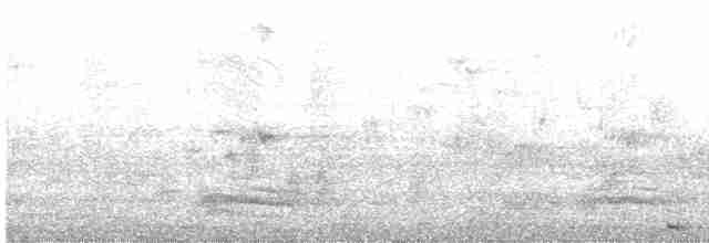 hrdlička kropenatá - ML522952001