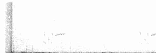 Loggerhead Shrike - ML522996781