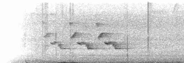 Каролинский крапивник - ML523002481