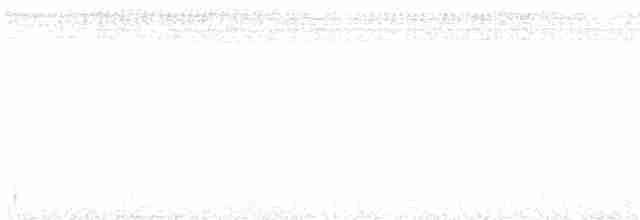 Скрытный ложнокрапивник - ML523071541