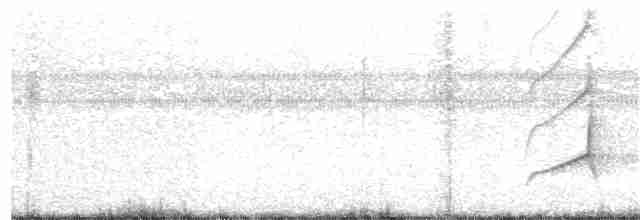 Sarı Karınlı Sinekkapan - ML52308471