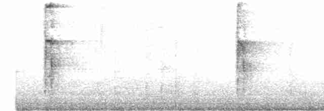 strakapoud americký [skupina harrisi] - ML523089971