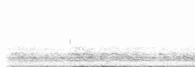 אווז לבן-מצח - ML523094001