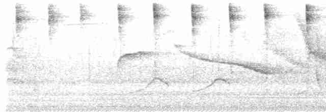Kara Suratlı Çalı Serçesi - ML523103961