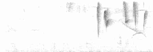 Огненнобрюхая танагра (igniventris) - ML523105511