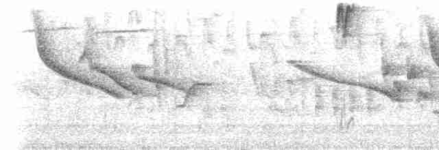 Андагра червонощока (підвид igniventris) - ML523105551