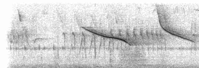Puna Thistletail - ML523105931