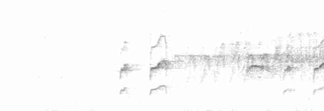 Puna Thistletail - ML523106261
