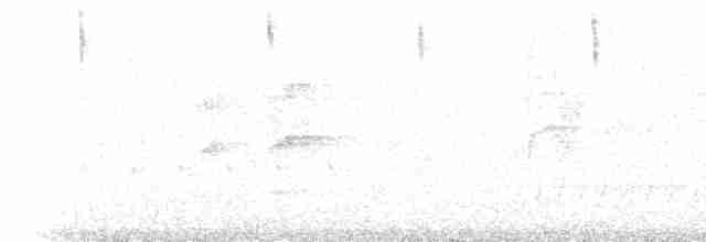 Kara Suratlı Çalı Serçesi - ML523107271