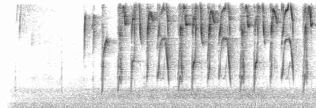 Alev Karınlı Dağ Tangarası (igniventris) - ML523107331