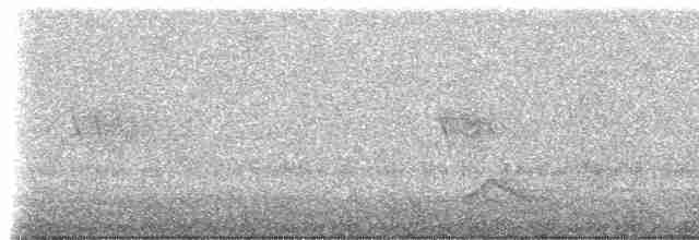 Hooded Tinamou - ML523108371
