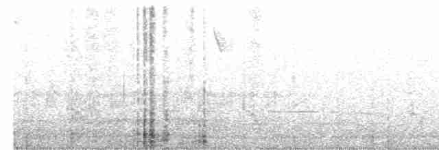 Güneyli Bıyıksız Tiranulet [pusillum grubu] - ML523113231