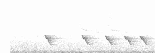 Риджвея сивоголова - ML52313341