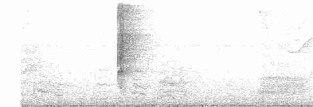 Boz Alınlı Sinekkapan - ML52313801