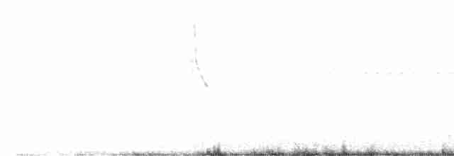 Short-tailed Lark - ML523193861