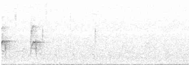 Yellow-rumped Warbler (Myrtle) - ML523200721