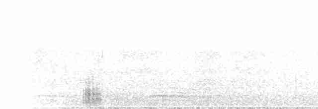Common Merganser (Eurasian) - ML523204581