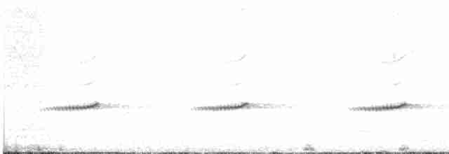 Пёстрая зебрина - ML523209401