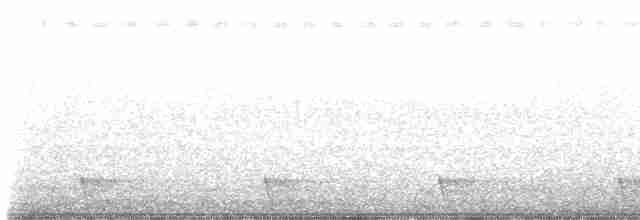 Large-tailed Nightjar - ML523210661