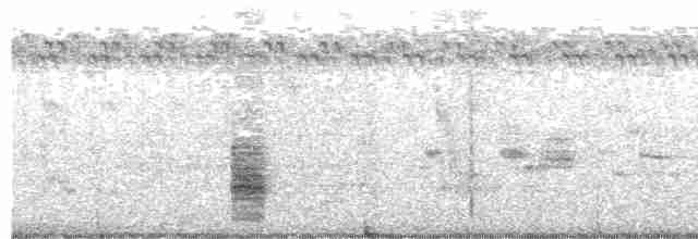 Clamorous Reed Warbler (Brown) - ML523230931