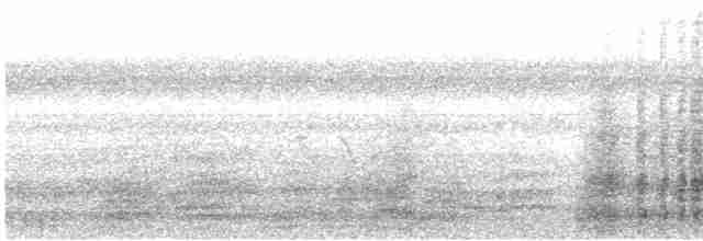 Краснохвостая чачалака - ML523241691