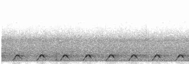 Дрімлюга плямистий - ML523255081