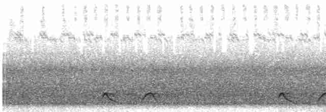 Дрімлюга плямистий - ML523255401