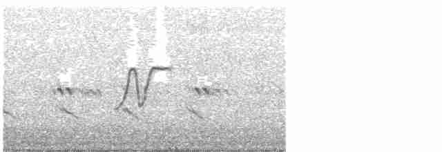 Tinamou perdrix - ML523273371