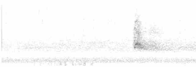 káně rudochvostá (ssp. abieticola) - ML523290931