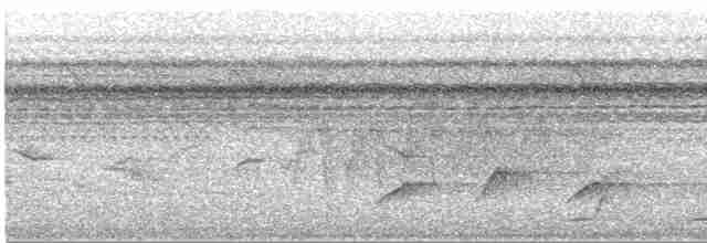 Dağ Uzun Kuyruklu Guguğu - ML523328101