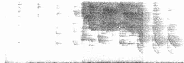 Gray-headed Tanager - ML523362731