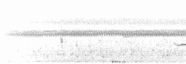 Rufous-browed Peppershrike (Northern) - ML523373311