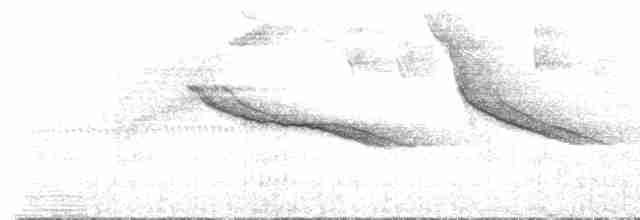 Танагра-короткодзьоб гірська - ML523400631