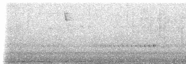 Hooded Tinamou - ML523407561