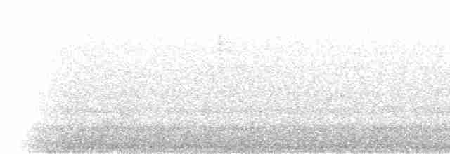 White-collared Jay - ML523409001