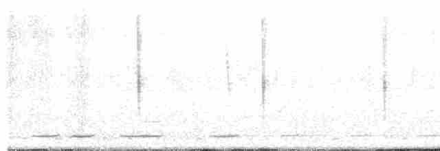Серогрудый зобатый бегунок - ML523412611