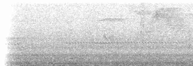 Weißflecken-Ameisenpitta - ML523432291