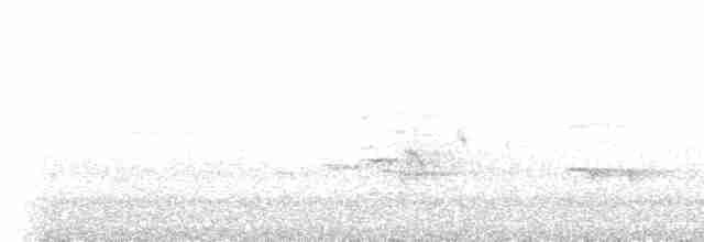 Weißflecken-Ameisenpitta - ML523432621